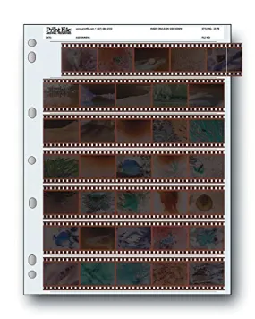 Archival Storage Sheets 35-7B25 for 35mm Film Negatives 7 Strips 25 Pack