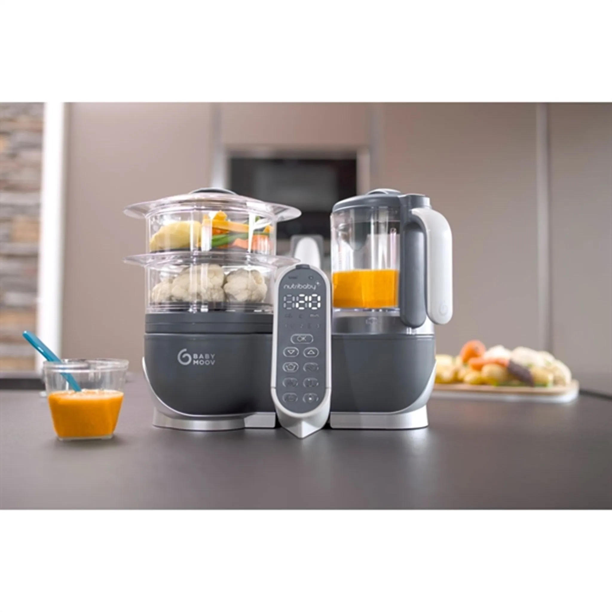 Babymoov Blender - Nutribaby Plus Industrial Grey