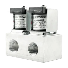 Dual Gas Solenoid Valve AS03-B