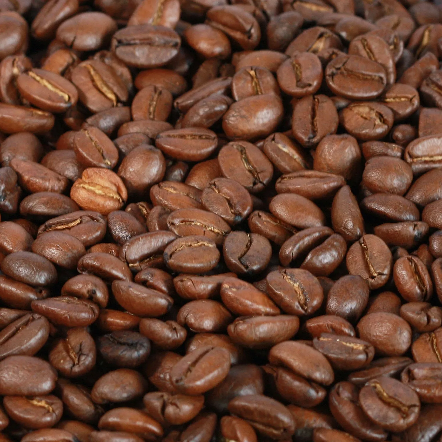 El Salvador Monte Sion Beans