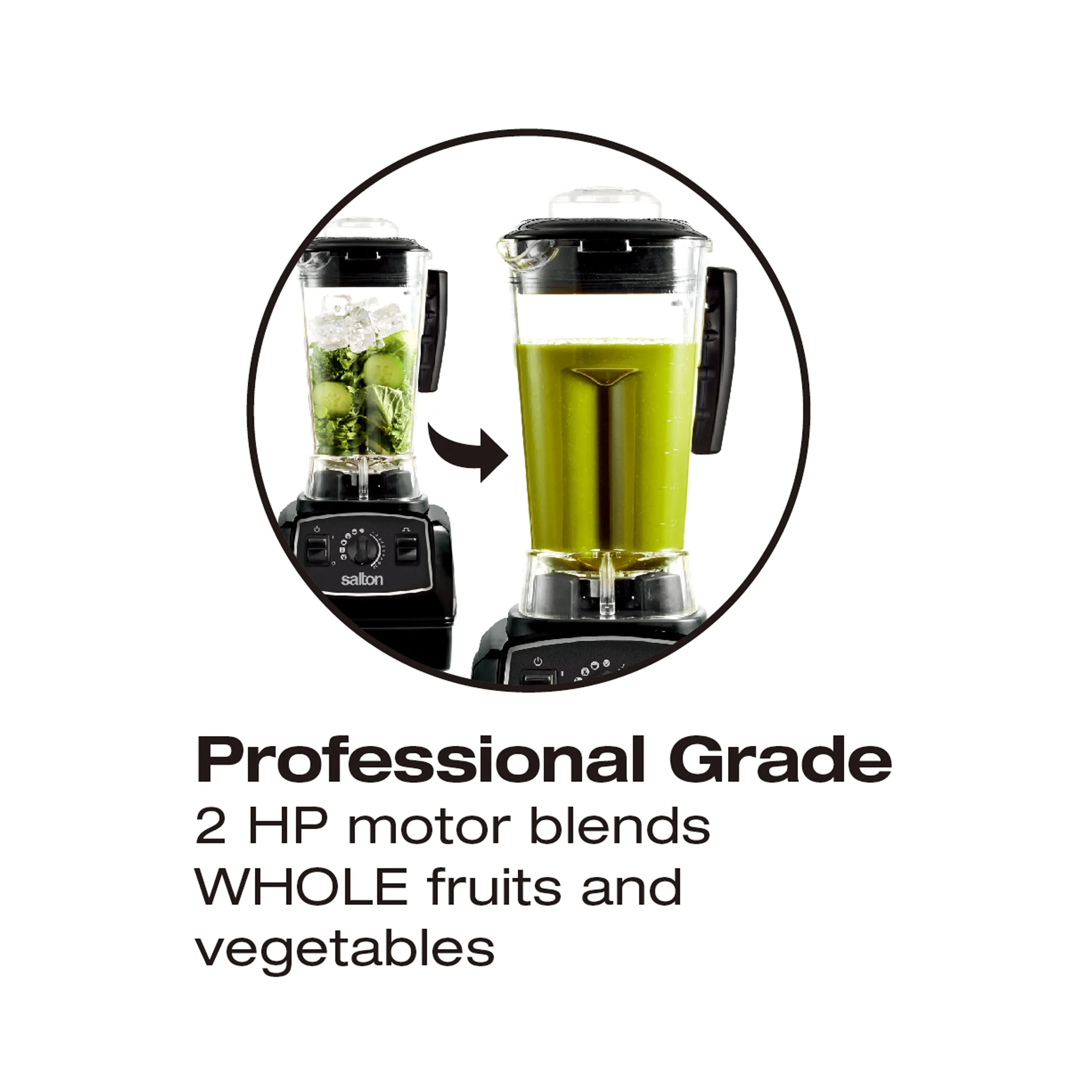 Salton Professional Grade Power Blender