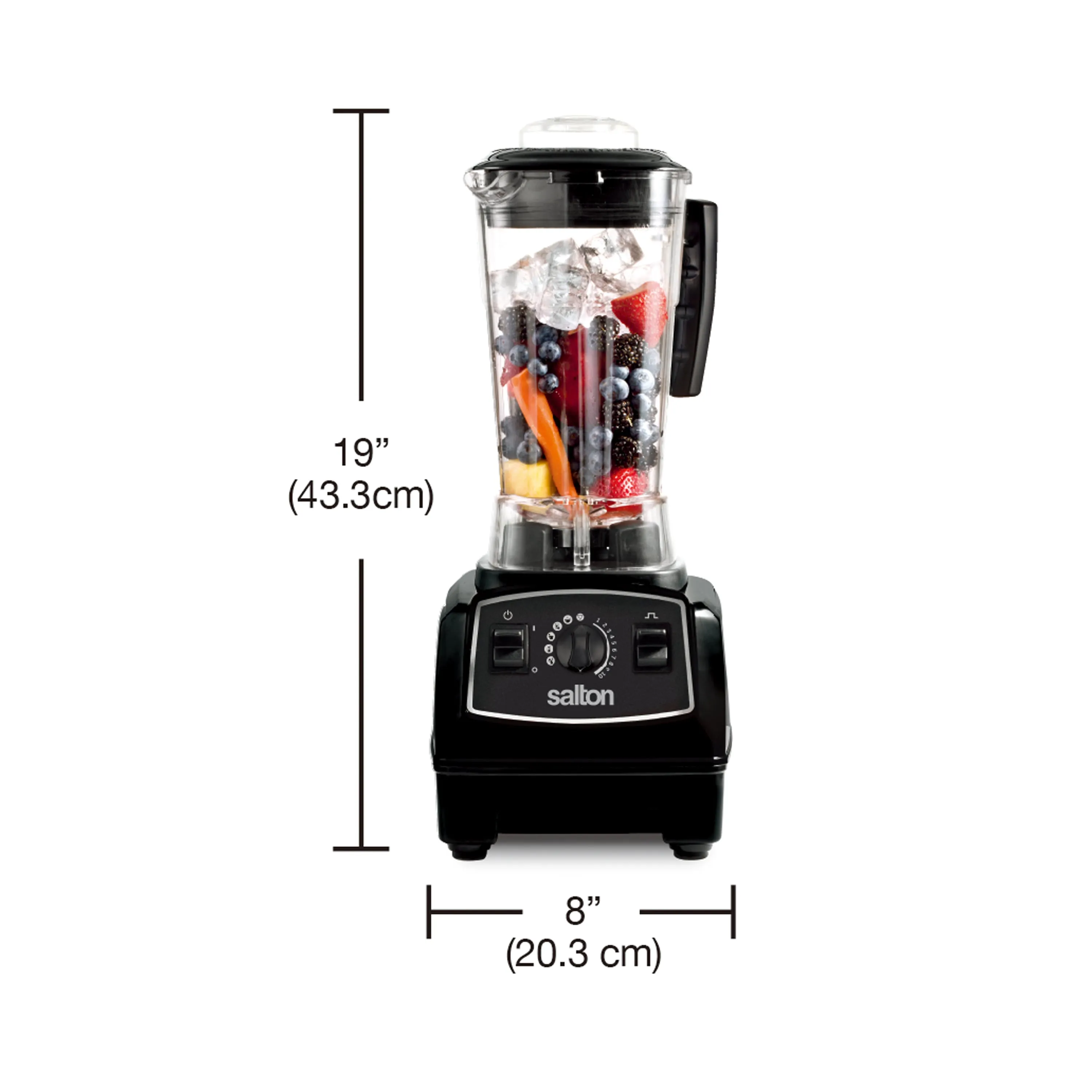 Salton Professional Grade Power Blender