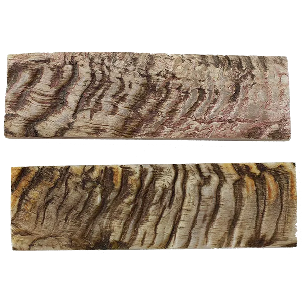 Sheep Horn Bark Scales - Natural - 1/4" X 1.5:" X5"