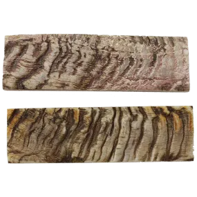 Sheep Horn Bark Scales - Natural - 1/4" X 1.5:" X5"