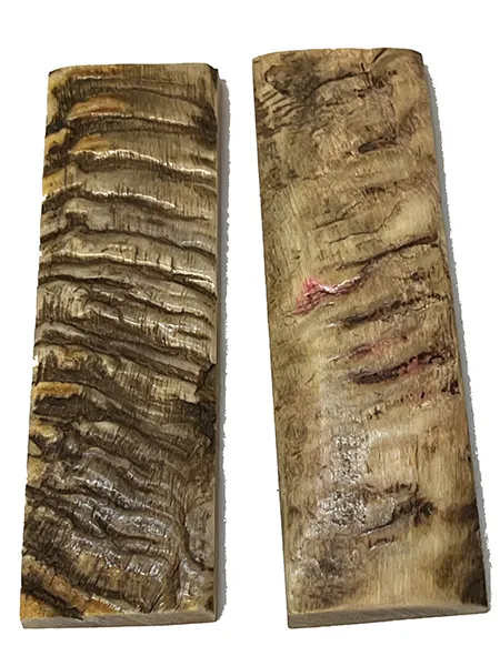 Sheep Horn Bark Scales - Natural - 1/4" X 1.5:" X5"