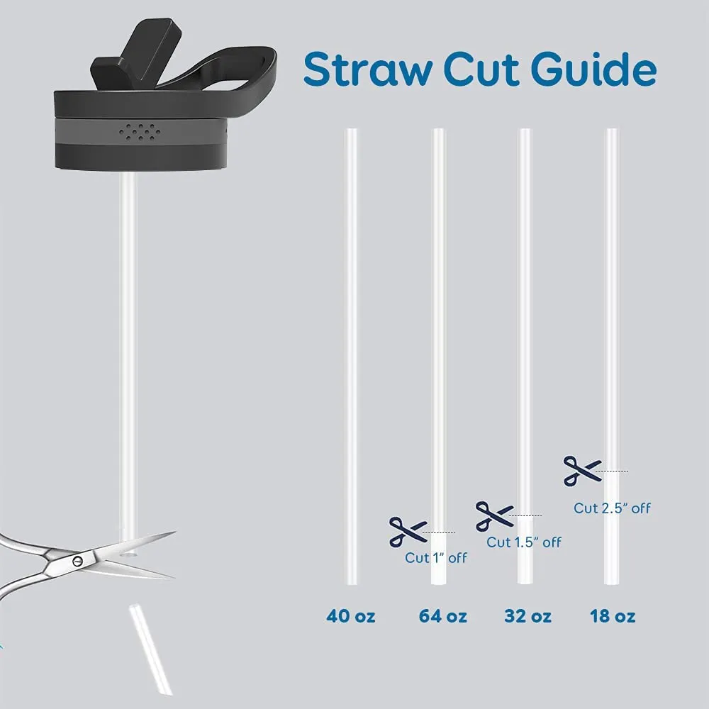 Standard Replacement Straw Lid